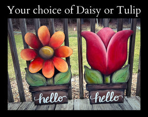 Daisy or Tulip